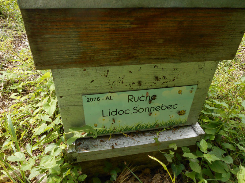 La ruche Lidoc Sonnebec